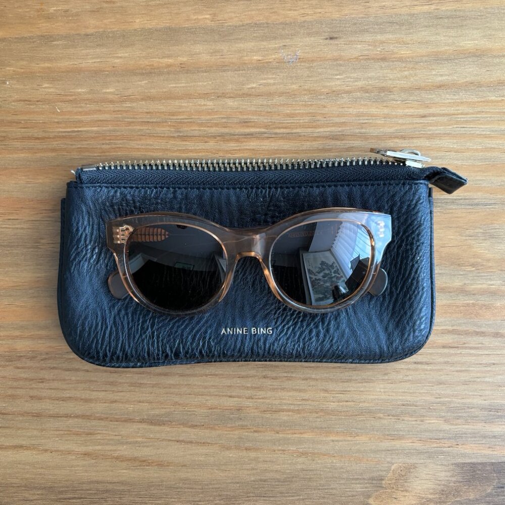 Anine Bing Brown Sunglasses with Leather Case